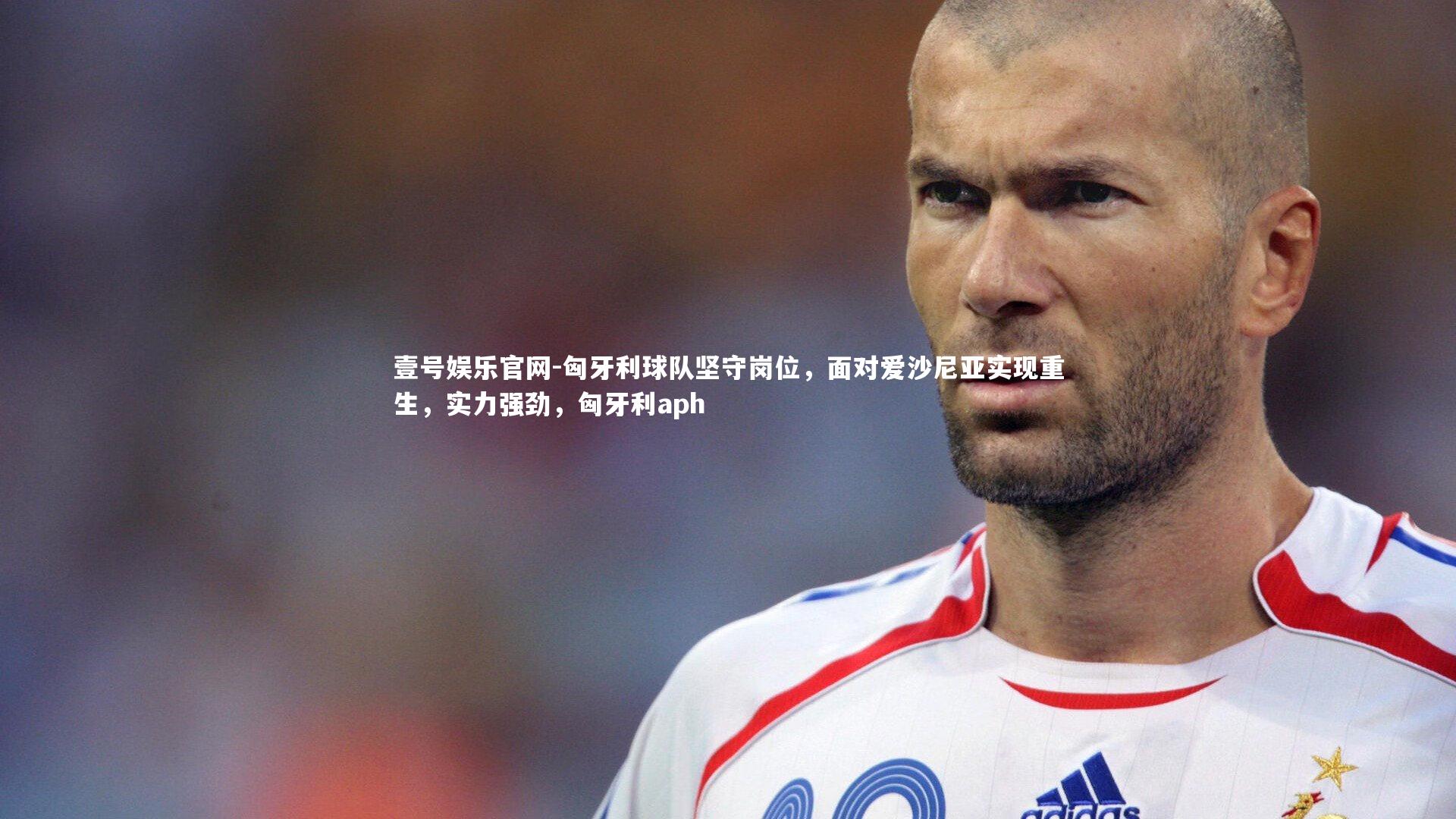 壹号娱乐官网-匈牙利球队坚守岗位，面对爱沙尼亚实现重生，实力强劲，匈牙利aph